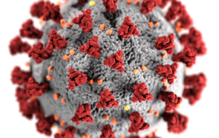 Coronavirus COVID-19