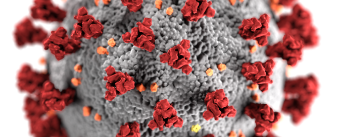 Coronavirus COVID-19